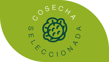 Cosecha Seleccionada