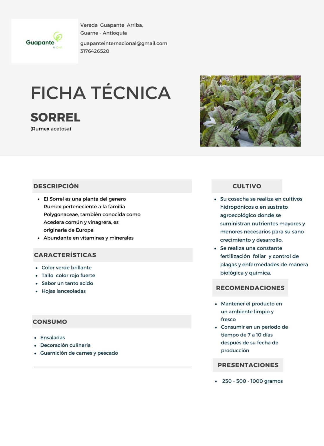 Ficha