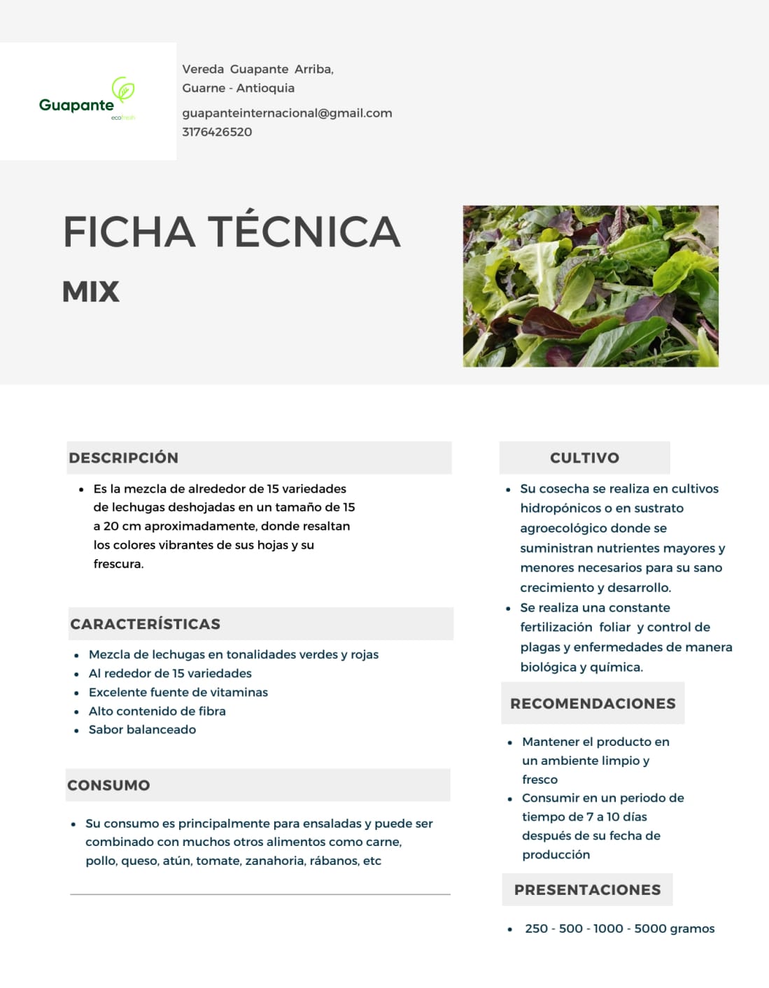 Ficha