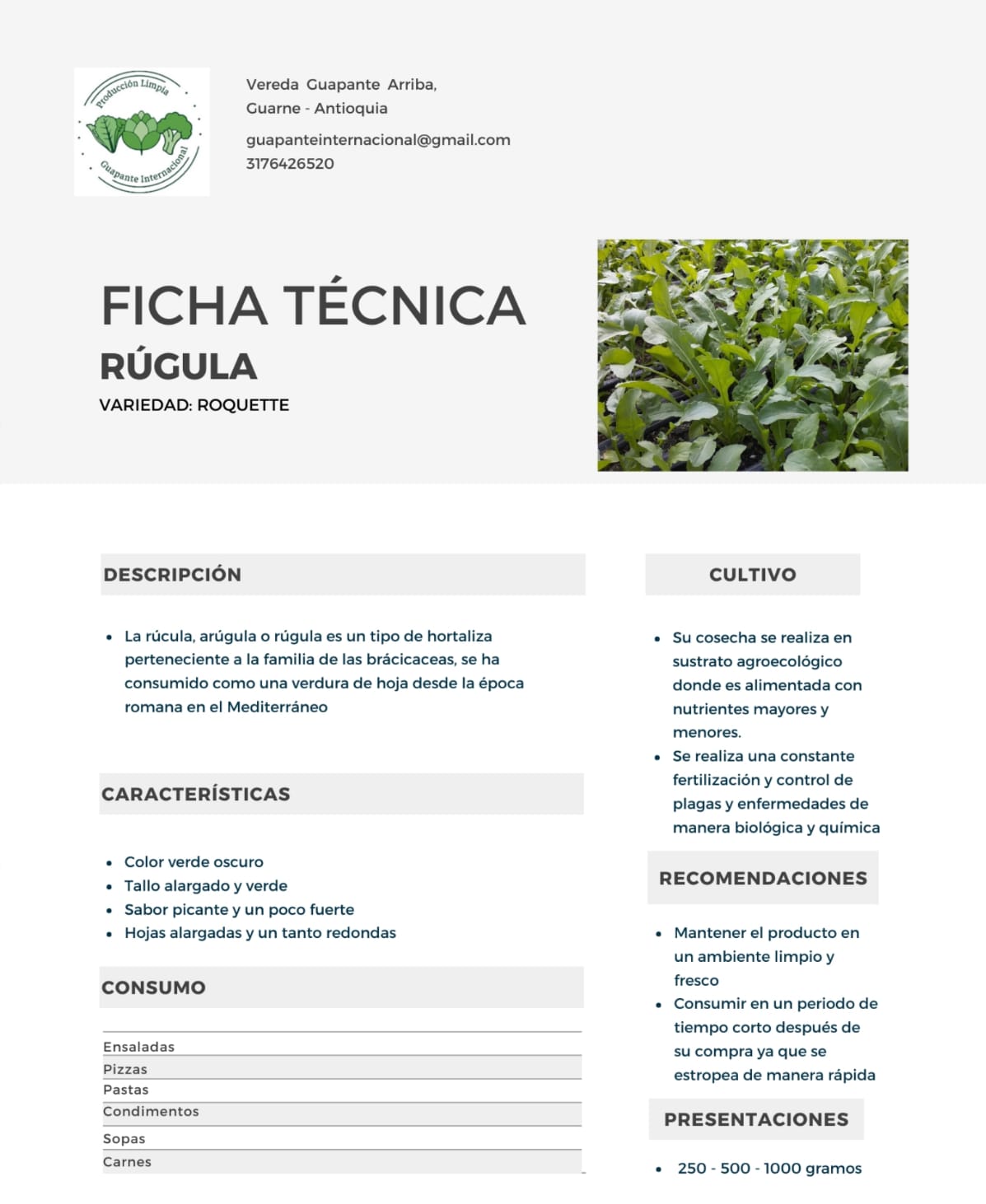 Ficha